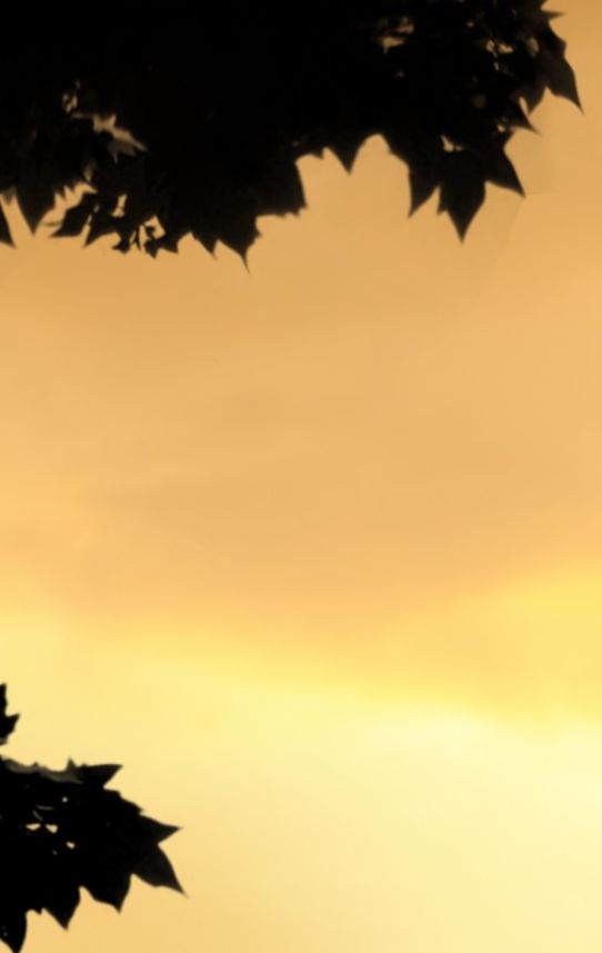 Systemstellen, Familienstellen, freie Aufstellung, Psychologe, Therapie, Shiatsu