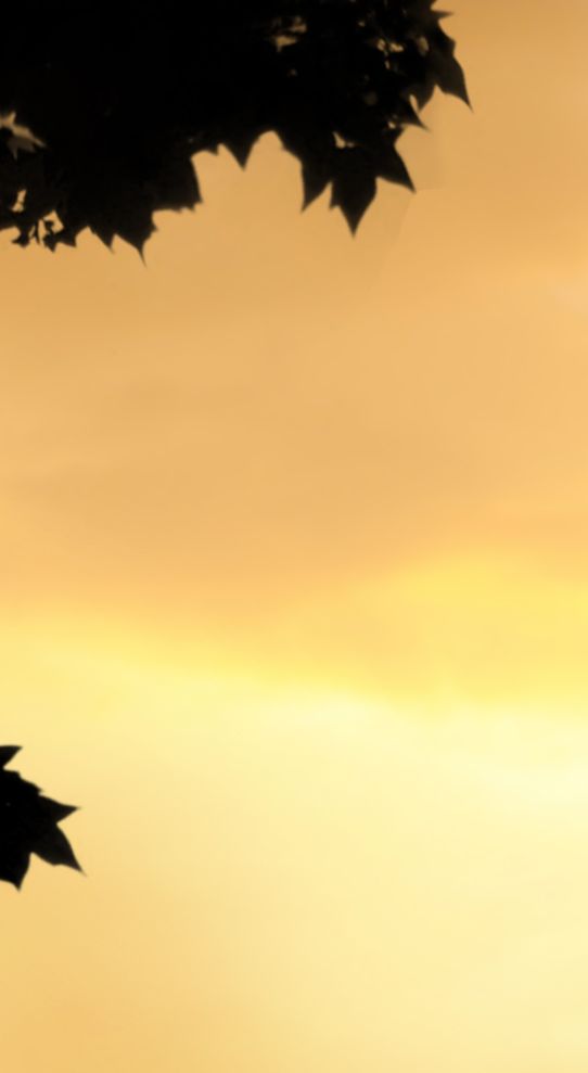 Systemstellen, Familienstellen, freie Aufstellung, Psychologe, Therapie, Shiatsu